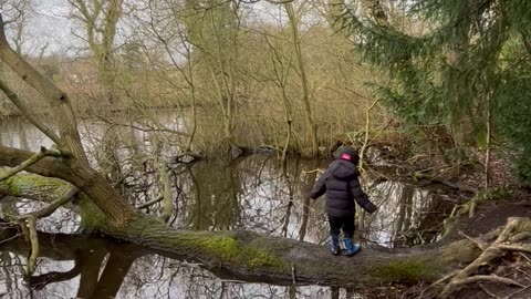 Boy's Tree Climbing Adventure Ends With a Splash