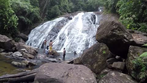 Sinharaja Rain Forest in Sri Lanka