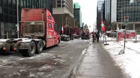 Live from the streets of Ottawa February 3 2022