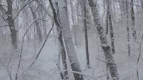 Just walking in snowy woods pt3