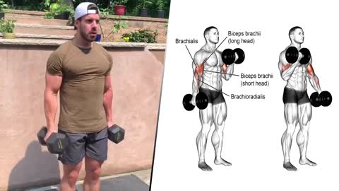 Best Workout Exercises For Transform Body At Home