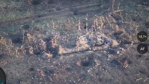 Ukrainian Army Storms And Liberates In The Direction Of Ugledar, Destroying The Russian Positions