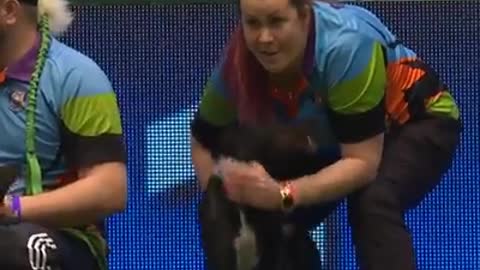 FLYBALL FINAL AT CRUFTS 2020