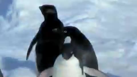 Penguins are playing games