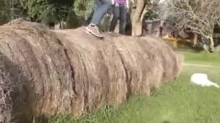 Collab copyright protection - three guys play on hay one falls off