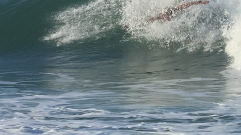 Body Surfer Spins in Wave