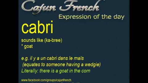 Cajun French - Daily Graphic - Part 7