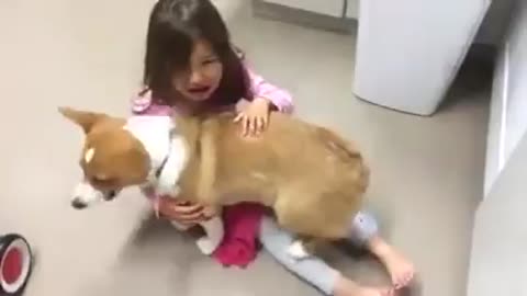 Dog calming little girl