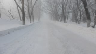 Winter walking in Siberia