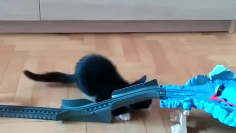 Adorable kitten attacks toy train set