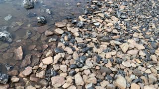 Central Oregon - Three Sisters Wilderness - Shoreline of Black Obsidian Glass