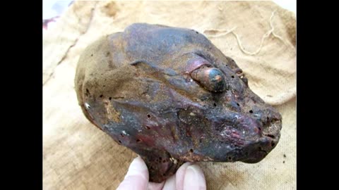 Mummified cat man head found in Peru