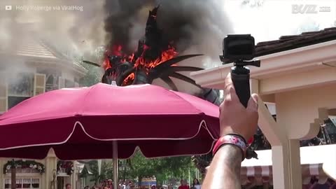 Dragon goes up in flames at Disney World Florida