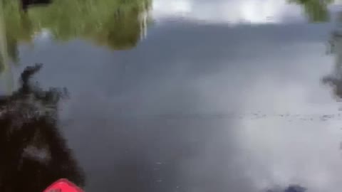 Kayaking Around the House After Hurricane Florence