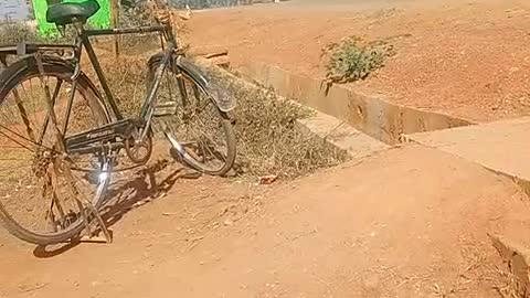 #cycle