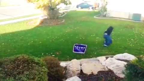 NEVER MESS WITH A TRUMP SIGN!!!🇺🇸🤣🤣🤣