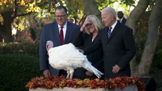Biden pardons the National Thanksgiving Turkeys, named Peanut Butter and Jelly.