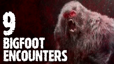 9 HORRIFYING BIGFOOT ENCOUNTERS (Sasquatch, Bigfoot) - What Lurks Beneath