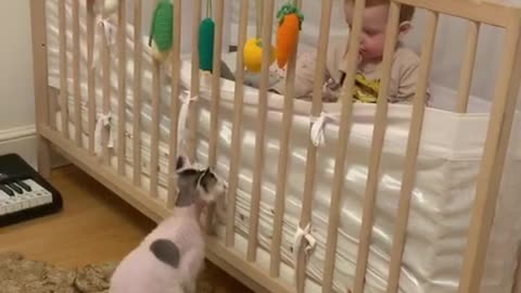 Cat plays with baby while listening to jazz