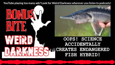 #BonusBite “OOPS! SCIENCE ACCIDENTALLY CREATES ENDANGERED FISH HYBRID” #WeirdDarkness