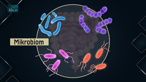 NWO, BIG PHARMA: Batteri Antibiotici Pandemia 2025, Tubercolosi Malaria Malattia X