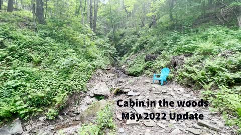 Cabin update May 2022
