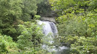 Looking Glass Falls