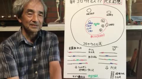 【111】PCR検査による幻想 - 大橋眞