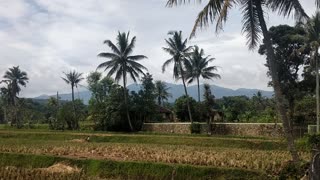 mountain view in the morning