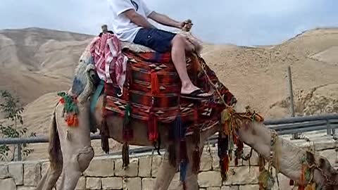 Camel ride - Israel