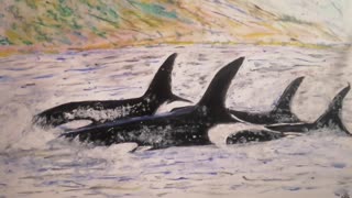 Killer whale in Acrylic paints