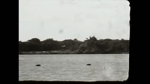 Plane flies under Belle Isle Bridge