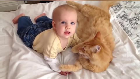 Funny baby with cute cat