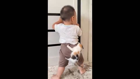 Cute Baby Animals Videos Compilation _ Funny and Cute Moment of the Animals #03- Cutest Animals