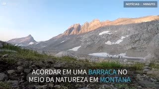 Cabras dão "Bom dia" a explorador em um parque florestal em Montana