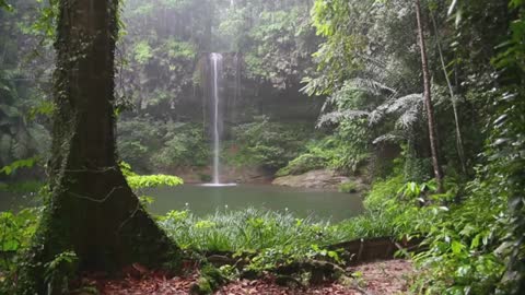 Waterfalls in jungle Amazing video