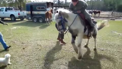 Funny horse riding fails 2020 best funny video 2020 must watch