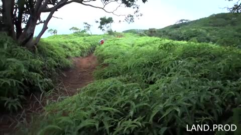 Downhill mountain biking! Best big jumps! Awesome people!