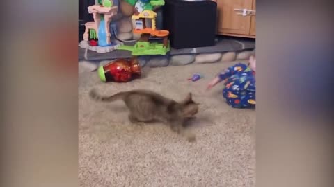 Babby and cat funny playing