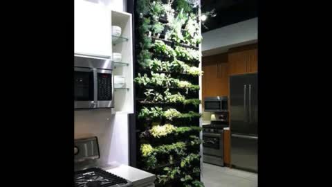 Creative DIY Indoor Herb Garden