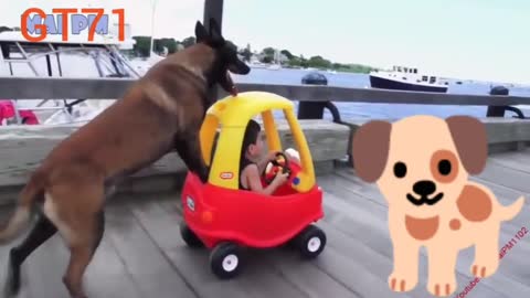 Dog and little baby funny time