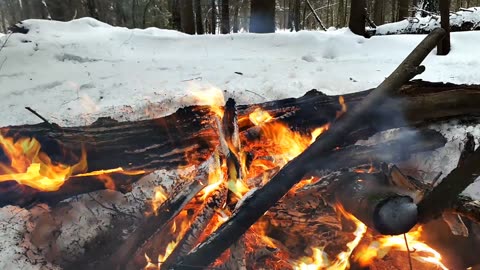 Nice burning wild winter forest relaxing bonfire🔥Bonfire Vibez🔥HD🔥Natural cute Fire sound⛺️NO MUSIC⛺️Slow