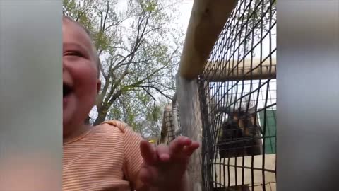 Cute baby With Animal