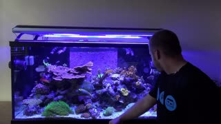 120 Gallon Reef Tank Tour