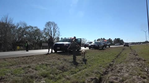 PURSUIT THAT STARTED IN SAN JACINTO COUNTY ENDS IN LIVINGSTON...