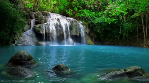 Jungle Waterfall Sounds | Relaxing Rainforest Nature Sound | Singing Birds Ambience