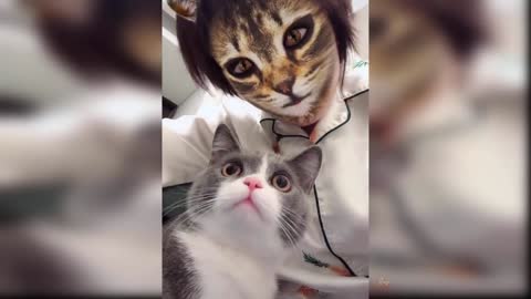 Baby cats-Funny and Cute Cat Videos #11 | funnycog