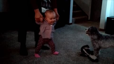 Precious baby is extremely excited to be walking