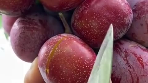 Best relaxing fruit tree farming | Oddly satisfying fresh fruit | Fruit Ninja Harvesting
