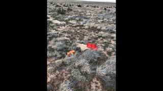 Balloon Launches High Above Colorado
